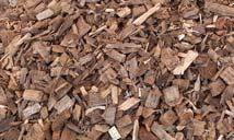 commercial energy providers are opting for biomass as a fuel.