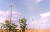 Re-powering: Potential States in India Tamil Nadu Gujarat Maharashtra 13 Turbine Installation Trends in India