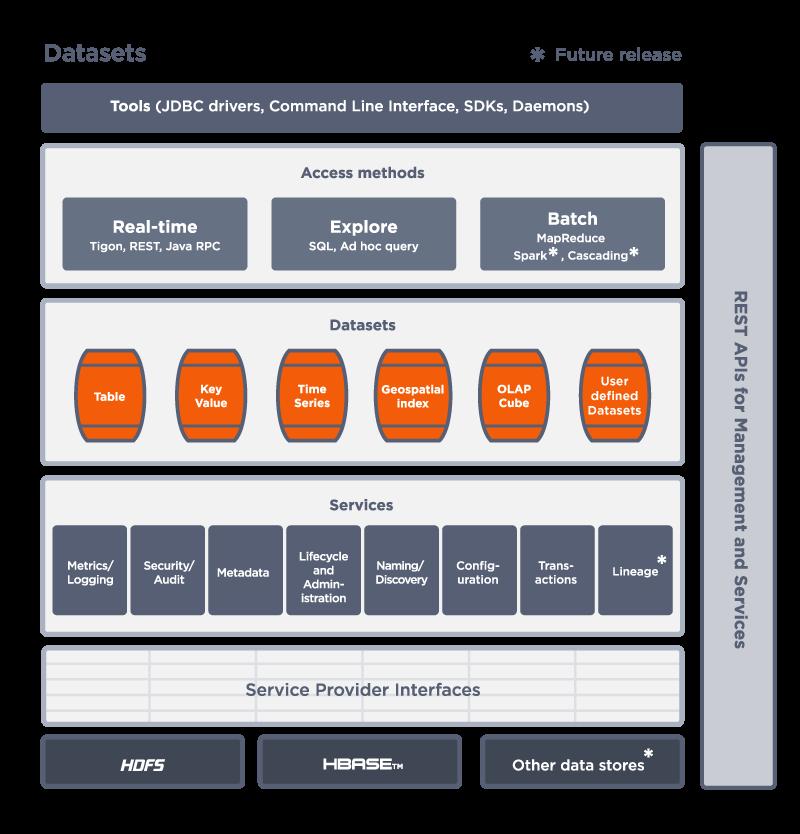 CDAP Datasets Figure 3 Functional Architecture of CDAP Data Abstraction Datasets are one of the core elements by which CDAP enables developers to leverage data more effectively to build applications.