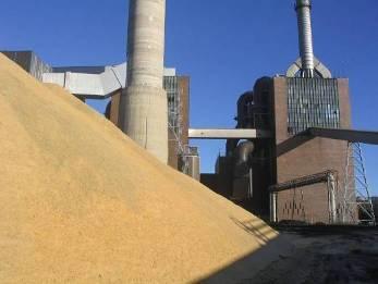 12 Direct co-firing of biomass in coal power plants Biomass co-firing in modern power plants with efficiencies up to 45 % is the most cost-effective biomass use for power generation.