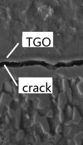 In the BC layer, the initiation of vertical surface cracks is most likely to occur at