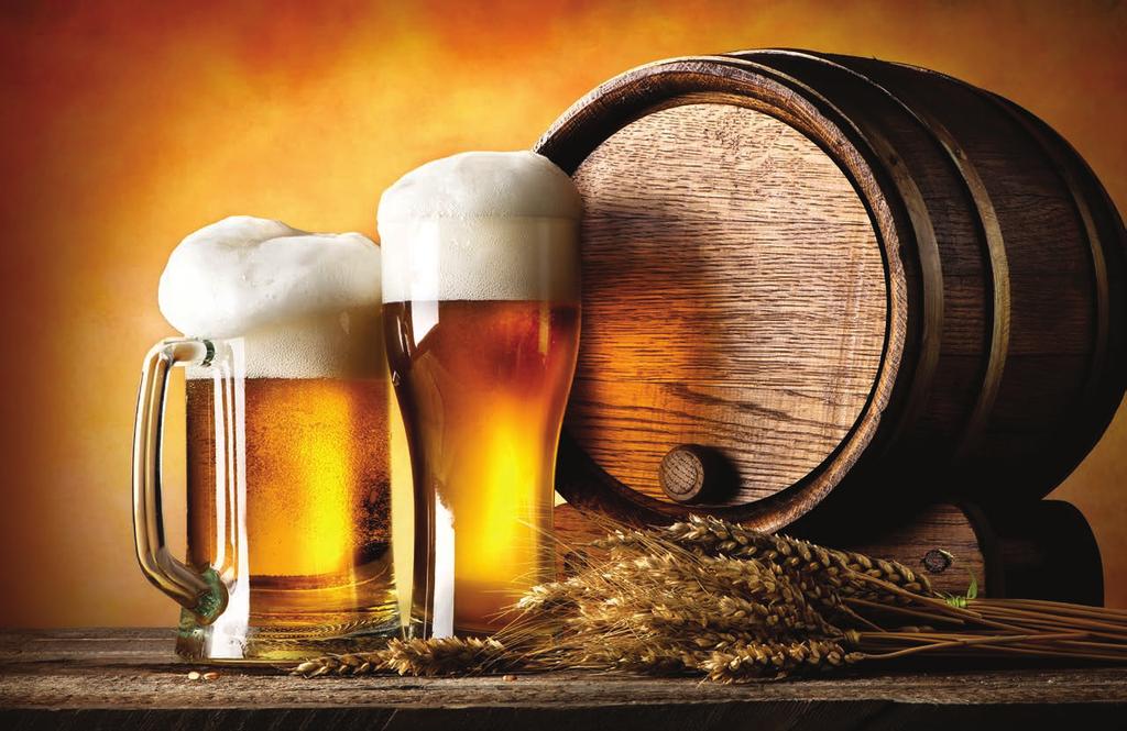 Beer Filtration Solutions Your Partner for All Your Filtration Needs Advanced