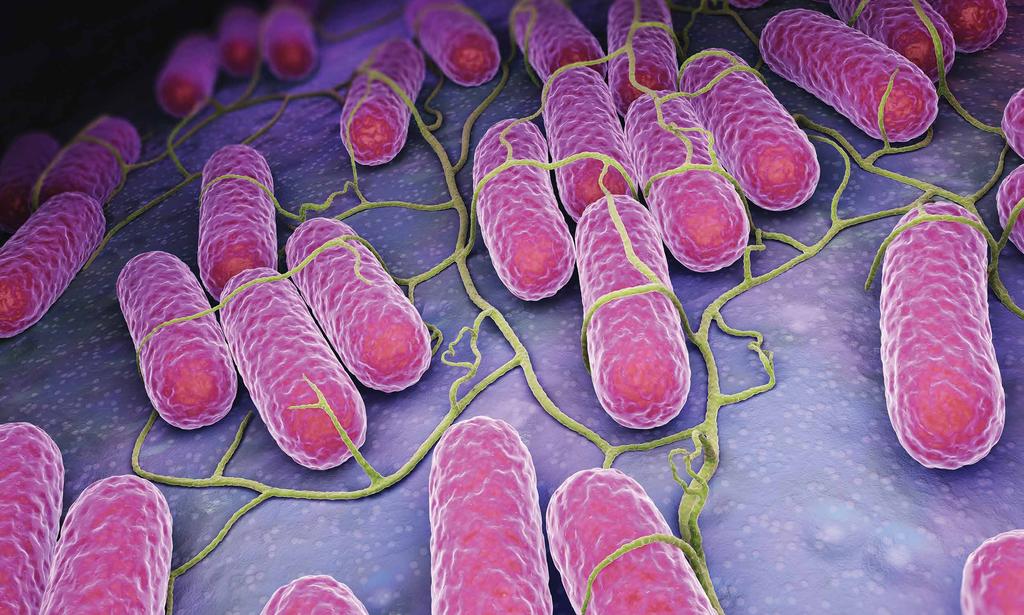 DISARMING BACTERIAL VIRULENCE With antibiotic resistance rapidly emerging among many important bacterial pathogens, it is imperative that new classes of antimicrobials are developed.