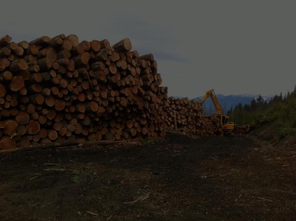 Current local log products Douglas-fir Typical Grades: 90% Premium Sawlog /Metric/Peeler log- 2 buyers Commodity sawlog - one buyer or sent mixed with premium logs.