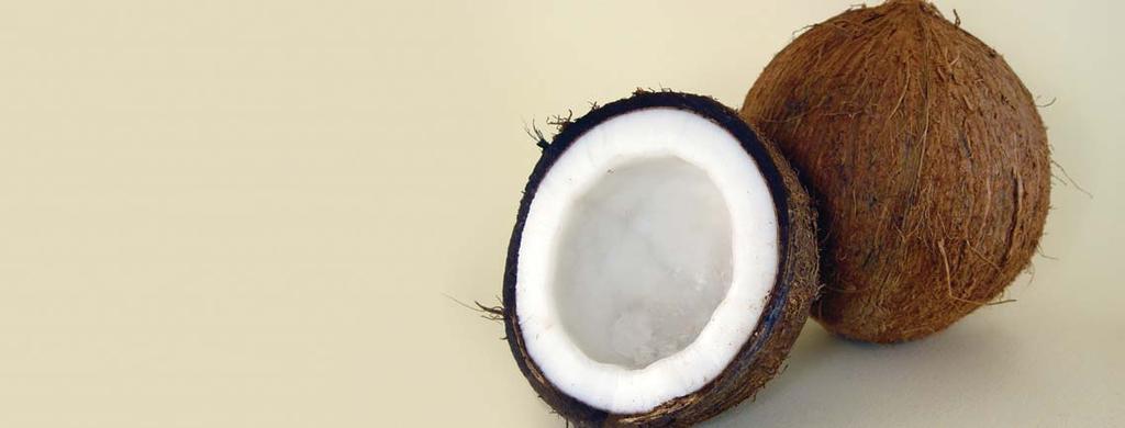 OPERATIONS REVIEW COMMODITIES OVERVIEW The principal activity of the Commodity Division is the manufacture of crude coconut oil (CNO) from copra, the meaty inner lining of the coconut, for export to