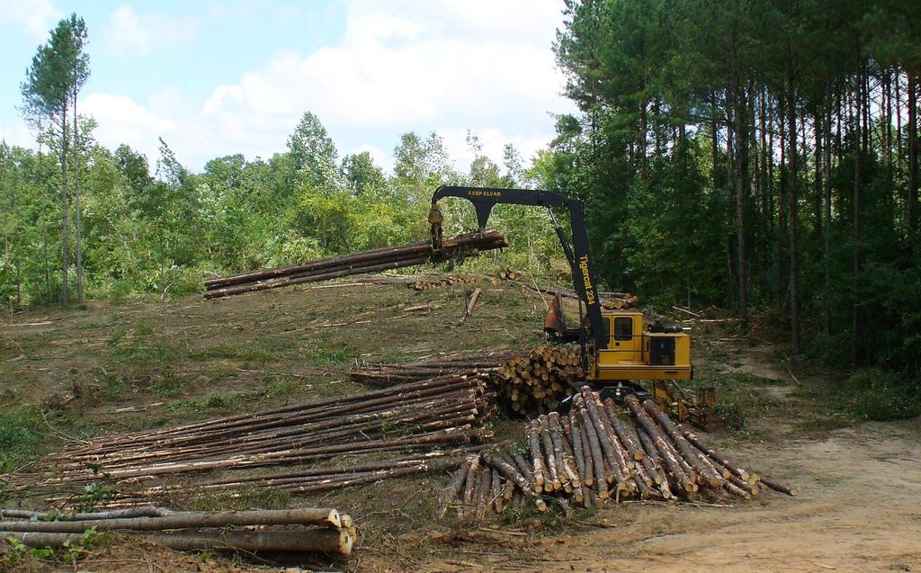 Capacity of the Louisiana Logging Industry Shawn Baker August 27,