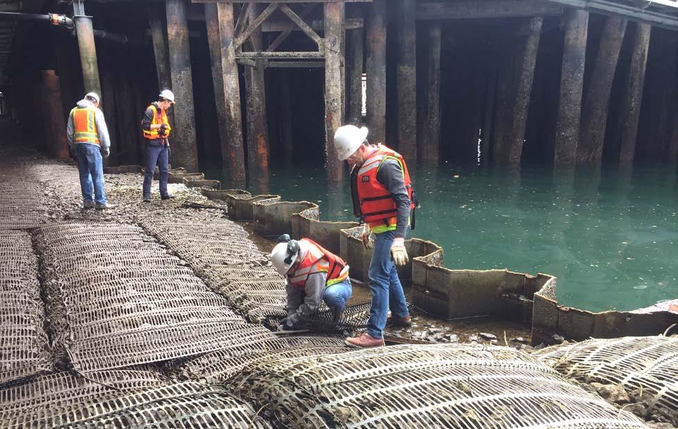 Two items that may be considered extra ordinary were: Marine Mammal Monitoring during sheet pile installation and entrapped fish release programs.