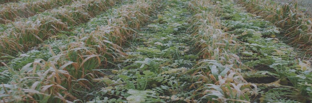Cover Crops (what is the resource concern?