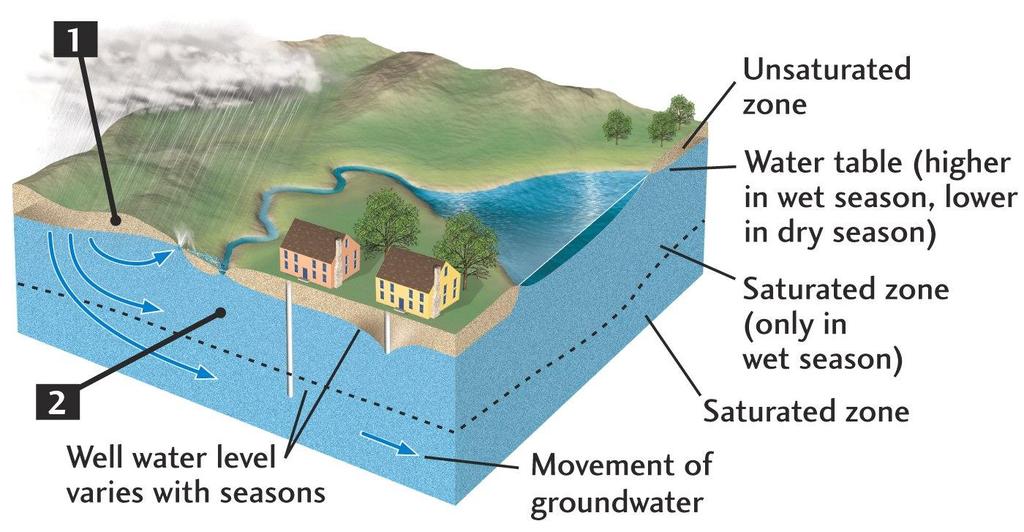 Dynamics of an Unconfined Aquifer in a Temperate Climate Rainwater infiltrates porous soil &