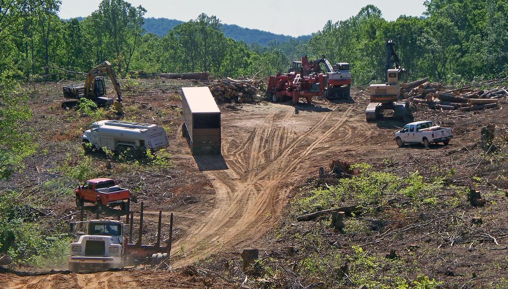Forest Harvesting in Virginia Figure 6. Logging activities at a centralized landing (also referred to as a deck).