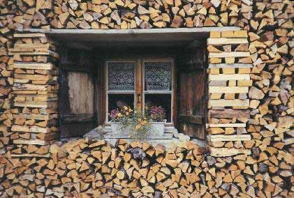 Harvested wood products and whether or not they should be included in