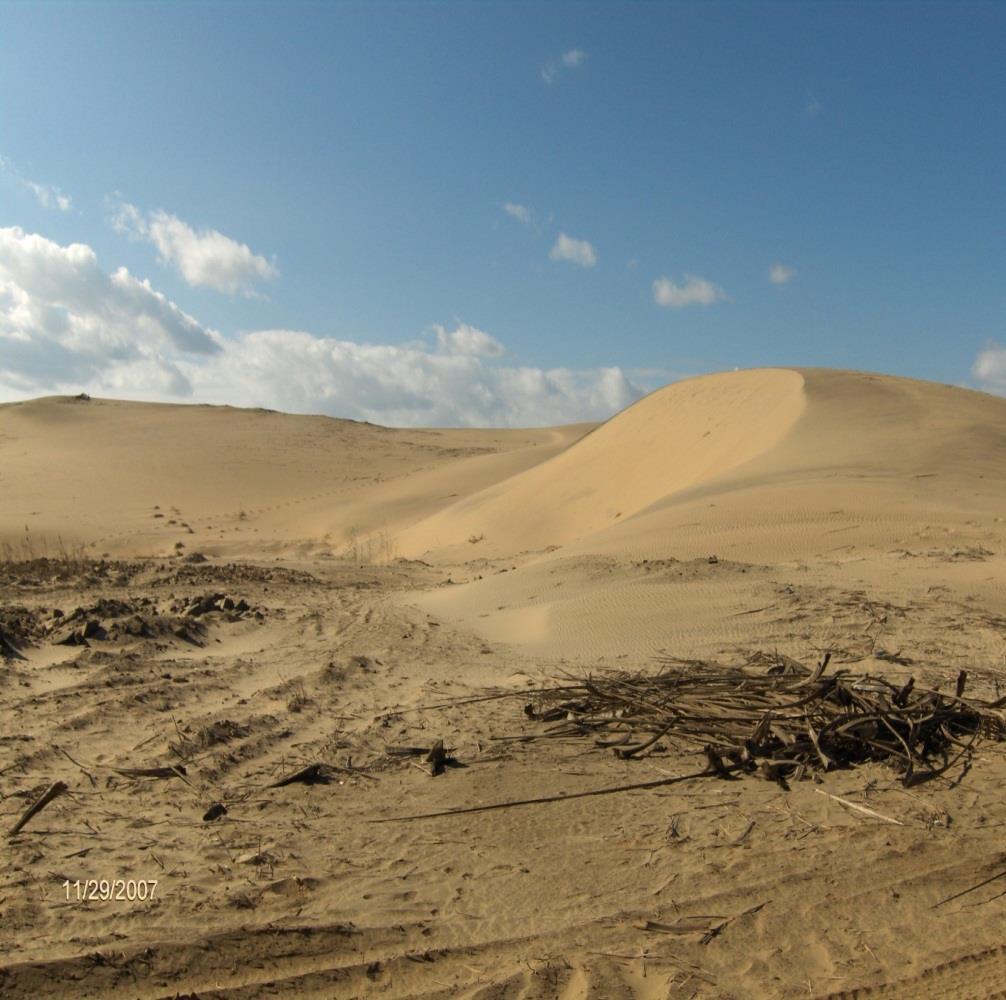 coastal road Sand Dunes At