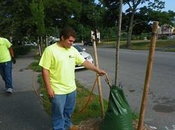 Tree Management and Health Strategy #1: Increase urban tree cover BMP: Provide homeowner incentives for