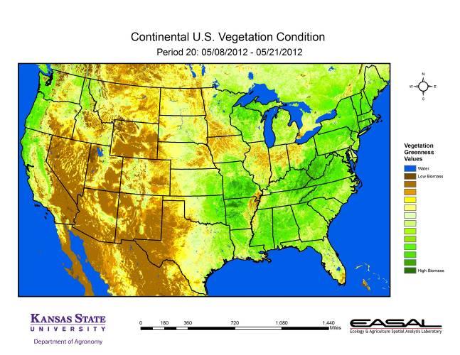 Map 7. The Vegetation Condition Report for the U.S. for May 8 21 from K-State s Ecology and Agriculture Spatial Analysis Laboratory shows that much of the U.S. has high biomass production.