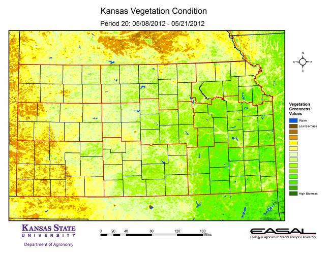 Map 1. The Vegetation Condition Report for Kansas for May 8 21 from K-State s Ecology and Agriculture Spatial Analysis Laboratory shows that photosynthetic activity is moderate.