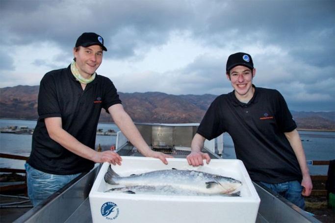 Leading welfare standards Scottish salmon tops the RSPCA s Freedom Food chart, with an impressive 60% of production participating in the scheme All of SSPO ongrowing companies are involved in the