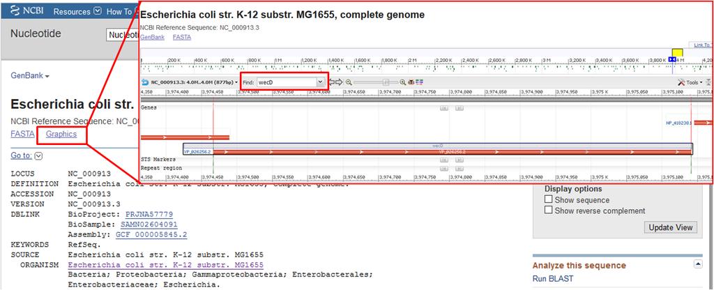 FIG 3 Locating the gene of interest in the genome with the Find box