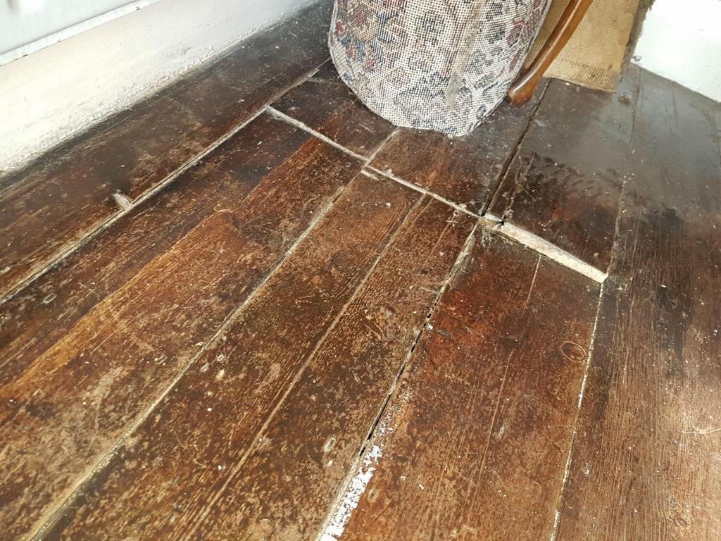Evidence of historic woodworm