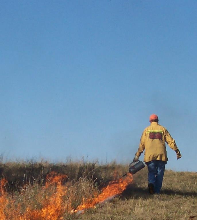 Fire Fire Prescribed fire Planned Mild conditions (moderate