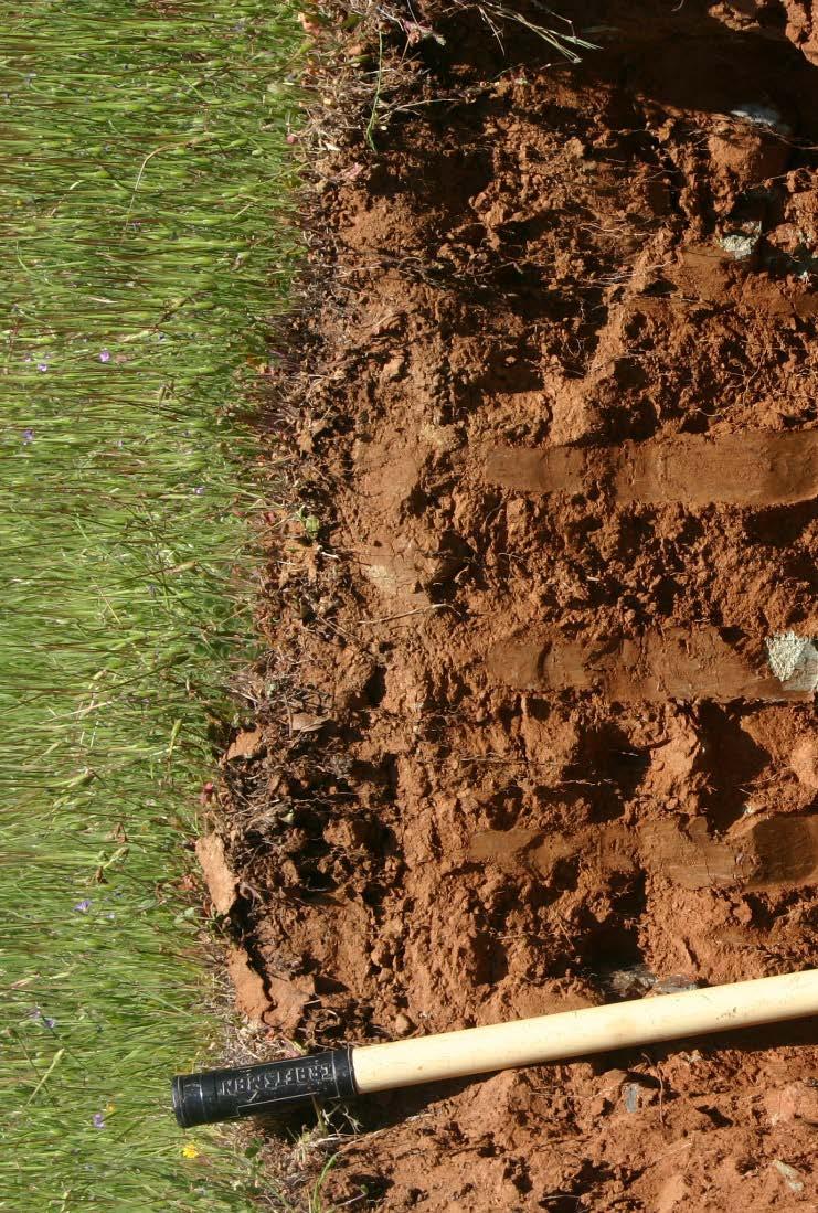 Physical-chemical-biological components of soil health enable soil s capacity to function as a vital living