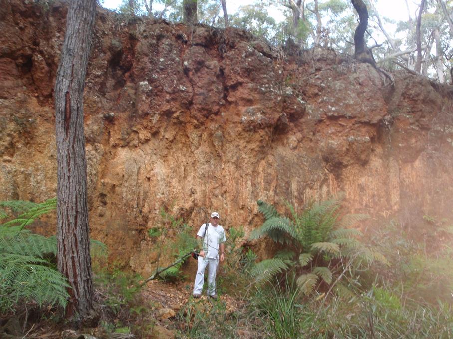 Penrose Quarry Discovery, NSW: Refractory Grade PENROSE QUARRY BAUXITE LAYERS Al 2 O 3 SiO 2 Fe 2 O 3 TiO 2 LOI CaO Na 2 O K 2 O MgO P 2 O 5 SO 3 Metres Density % % % % % % % % % % % m t/m 3 Top: