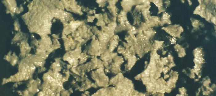 This indicates that the coating was applied over moisture, which can cause the formation of voids (Fig. 2) as the isocyanate reacts with water and forms carbon dioxide gas.