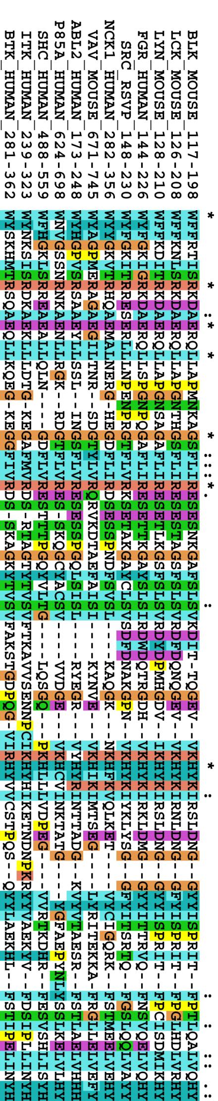 Protein Domains SH2 Motif Janus Kinase 2 Modular Sequence Architecture