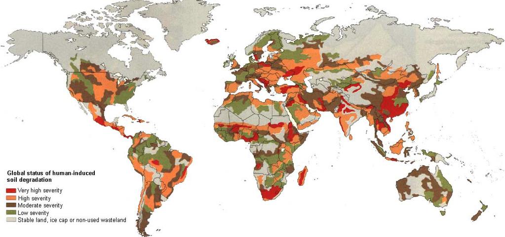 Resources nexus: local issues Source: FAO,