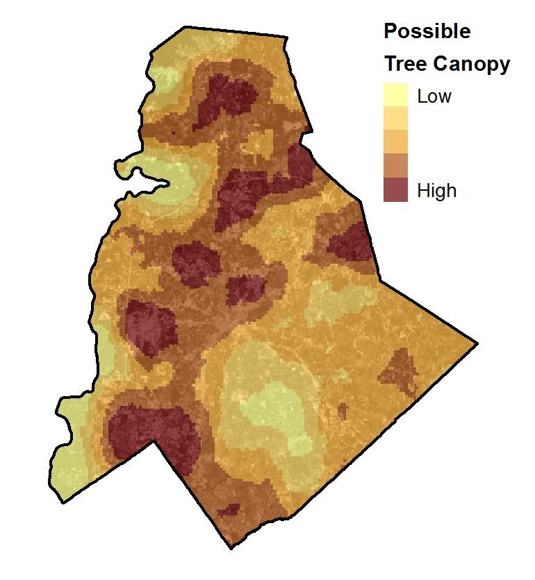 Tree Canopy Opportunity Index In addition to simple descriptive statistics, more sophisticated techniques can help identify areas of the city where tree-planting and stewardship programs would be