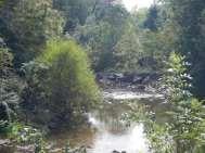 Creek Westfield Environmental