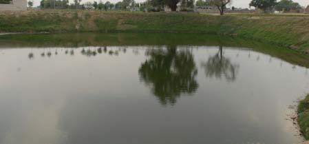 Renovated Ponds
