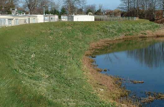 The TensarTech NaturalGreen System can provide a durable, cost-effective and attractive flood defence.