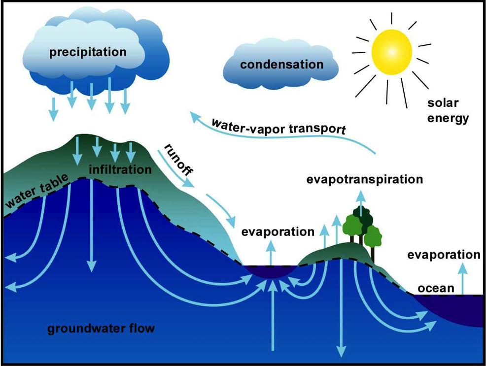 Water Cycle 7 2. Seepage: Water seeps into the ground and plants use it 3. Transpiration: Plants give off water to the atmosphere 1.