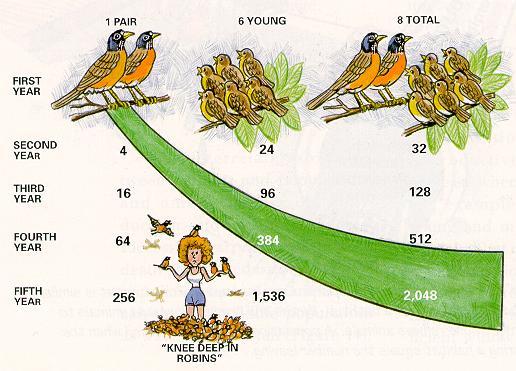 From: Benson, 1999 Potential population growth of robins