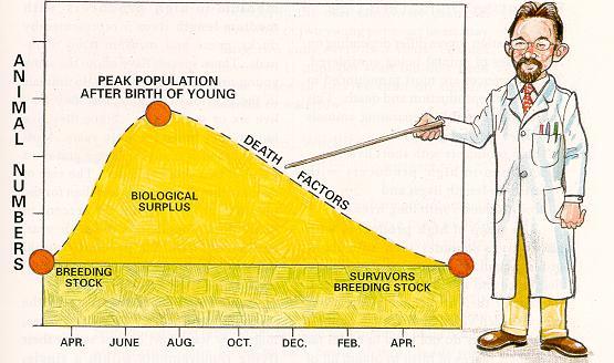Population curve.