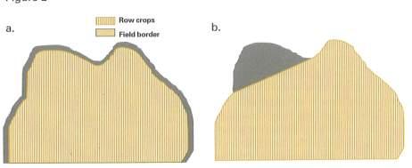 Attracting Wildlife - Field Borders 50-100 border strips provide cover & food Between normal crop production or lawn