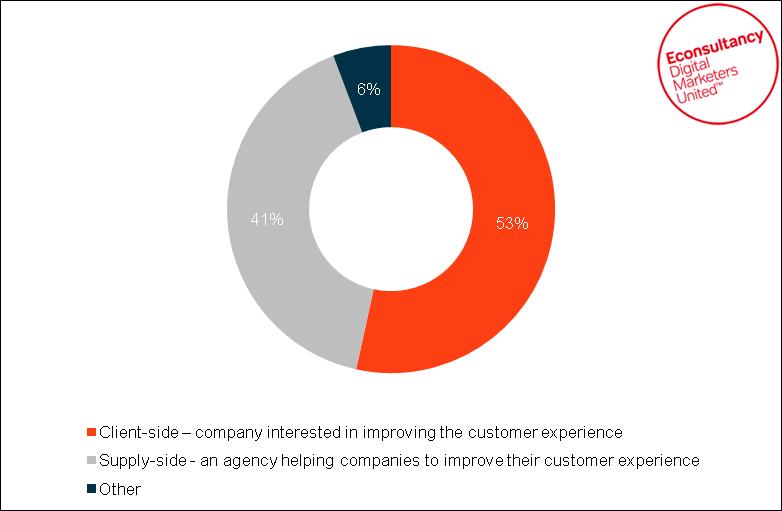 5.2 Respondent profiles 5.2.1 Role within responding organisation More than half of survey respondents (53%) work for an organisation interested in improving the customer experience, while some