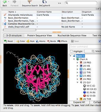 Bioinformatics Elements cont. III. Software: A program or computational tool used to solve a problem depending on a specific Algorithm.