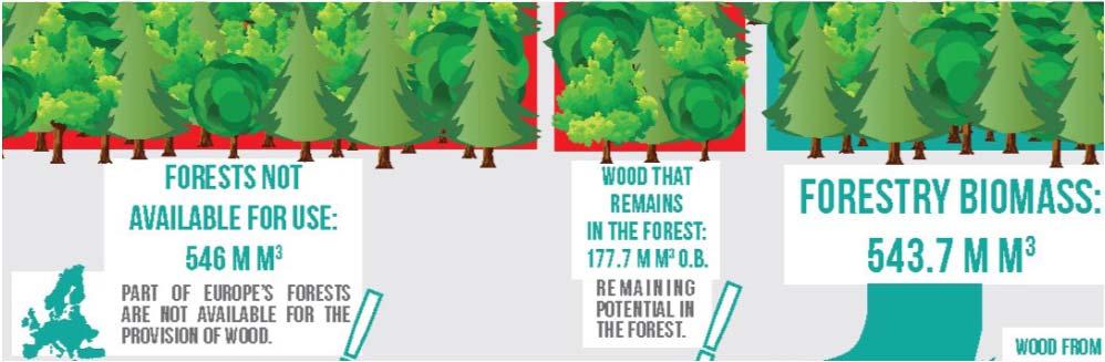 The Forest resource We know how much exists in the forest (21 billion m³) and how much grows in the forest in addition every year (1,27 billion m³).