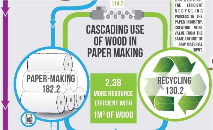 Recycling We know how much recycling of paper (114,7 million m³ corresponding to the recycling rate of 70%) and recycling of wood products (15,5