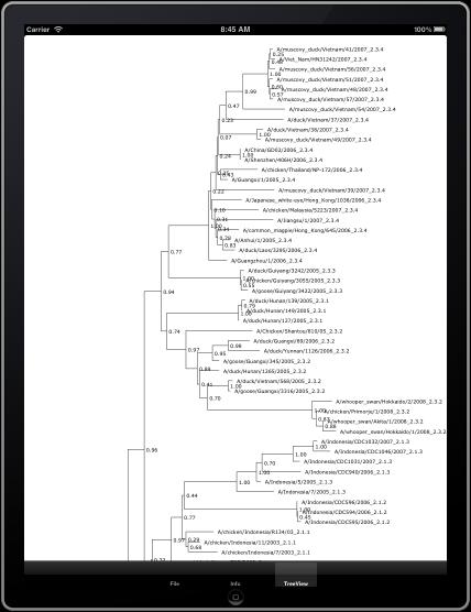 Phylogenetic Trees Computer generated by: Examining alignment Looking for shared