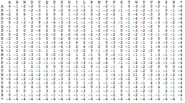 Score Lookup Table (Matrix) Symmetrical Positive Scores on Diagonal