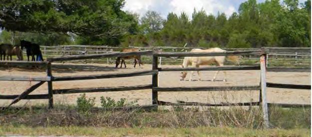 BMPS FOR PASTURE MANAGEMENT Good pasture management can decrease feeding expenses, help maintain healthy horses, and minimize environmental impacts.