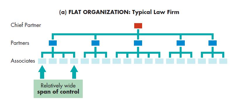 Distributing Authority: Centralization and Decentralization Flat Organizational