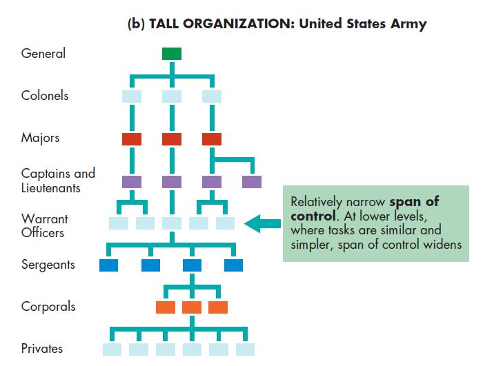Distributing Authority: Centralization Tall Organizational Structure and