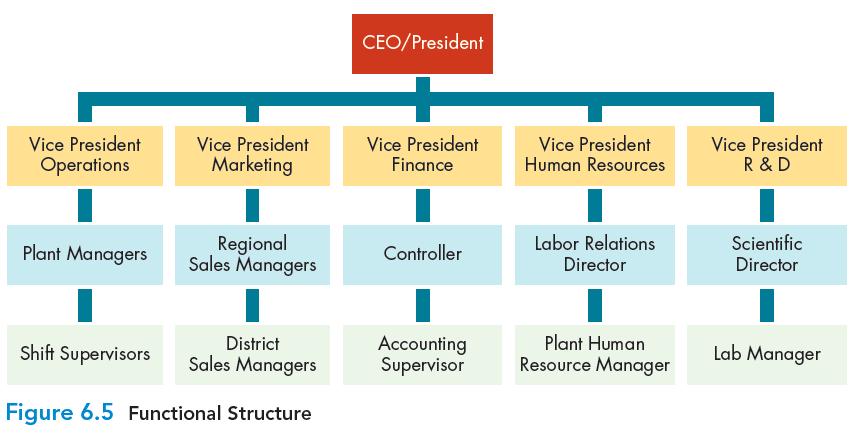 Basic Forms of Organizational Functional Structure Structure organization structure in