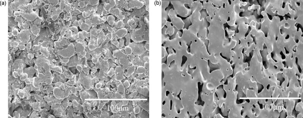 8 S.C. Chen et al. / Journal of Membrane Science 314 (2008) 5 14 Fig. 3. Surface topology of PSS tube before (a) and after (b) electropolishing. brane on such support.