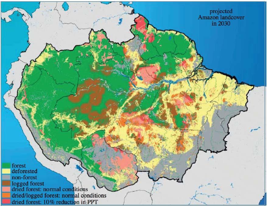 Amazonian Forest Dieback Due to Climate Change, Deforestation & Fire If trends of recent past continue over the next several decades: 15 26 Pg of carbon contained in forests released to the