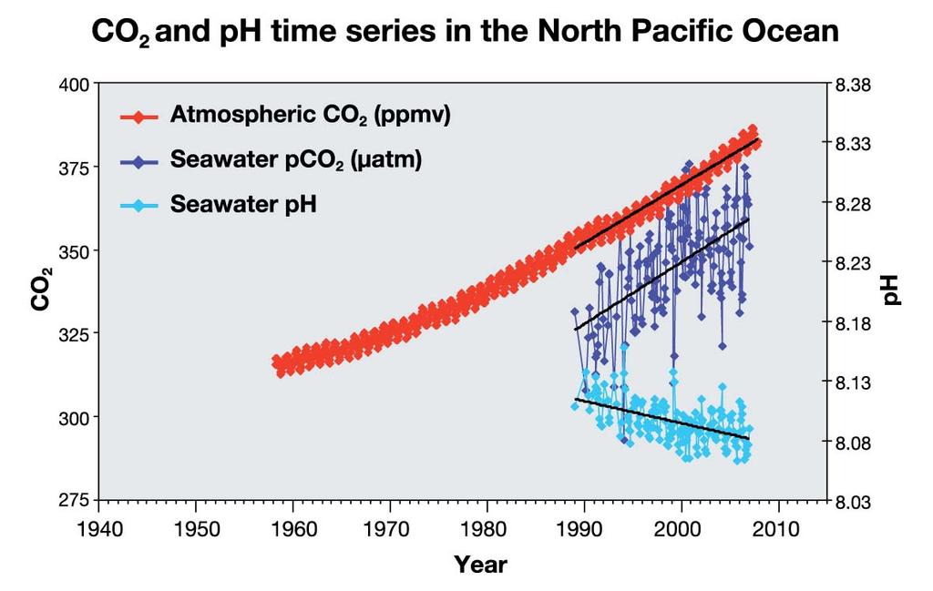 Ocean acidification Arctic ocean carbonate under-saturation Current CO2 emission