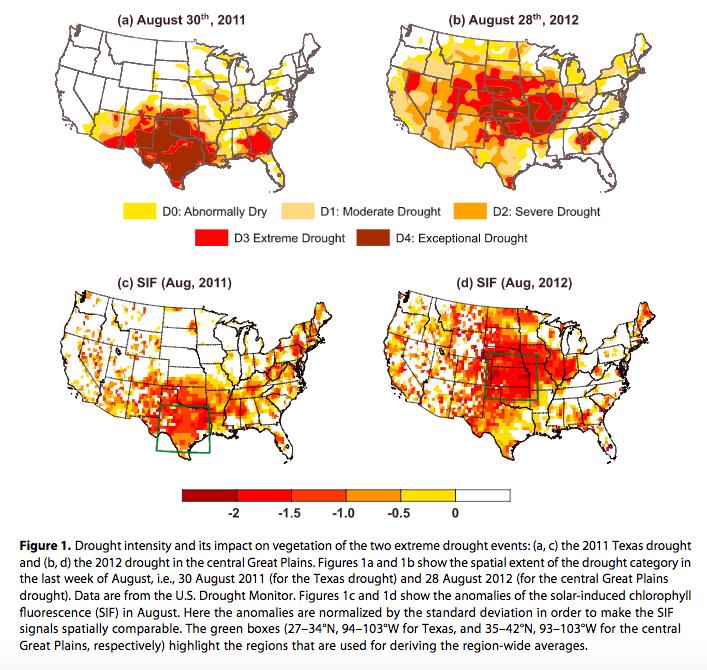 Drought and early stress prediction Captures large